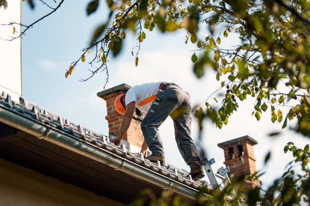 Best Rubber Roofing (EPDM, TPO)  in Victoria, MN