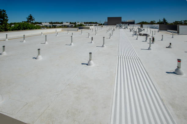 Best Wood Shake Roofing  in Victoria, MN